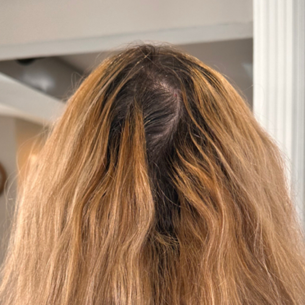 Root Touch- Up (One Provess Color) at Hairbysotheavy in Framingham, MA