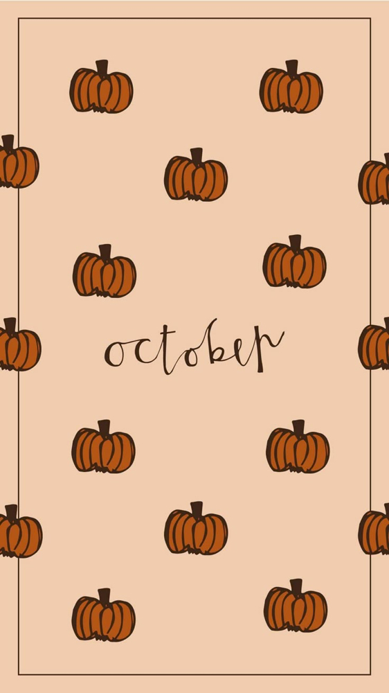 October Lash Special-Classic/Hybrid