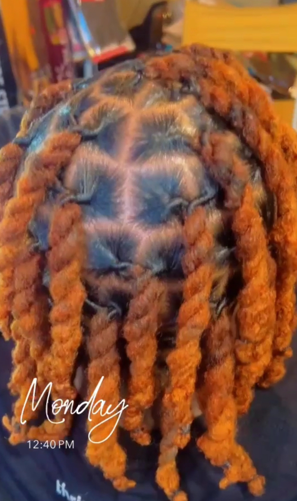 Shampoo Retwist /Style Locs