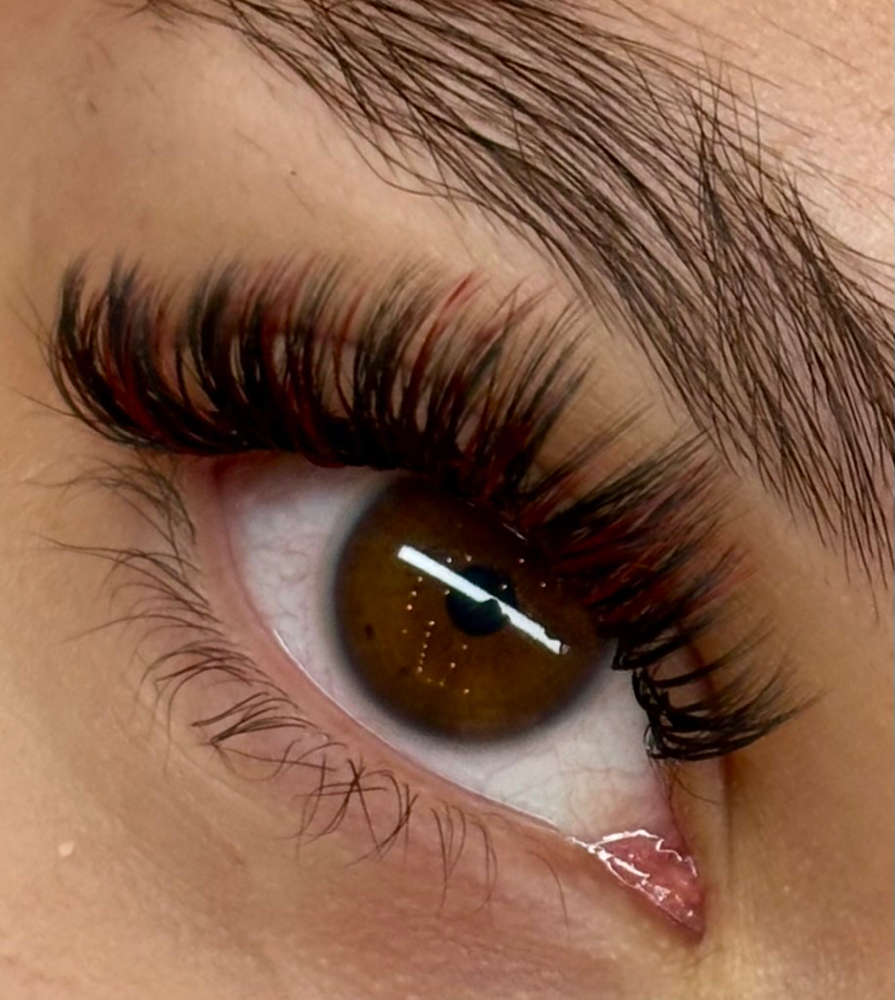 Wet Lash Full Set