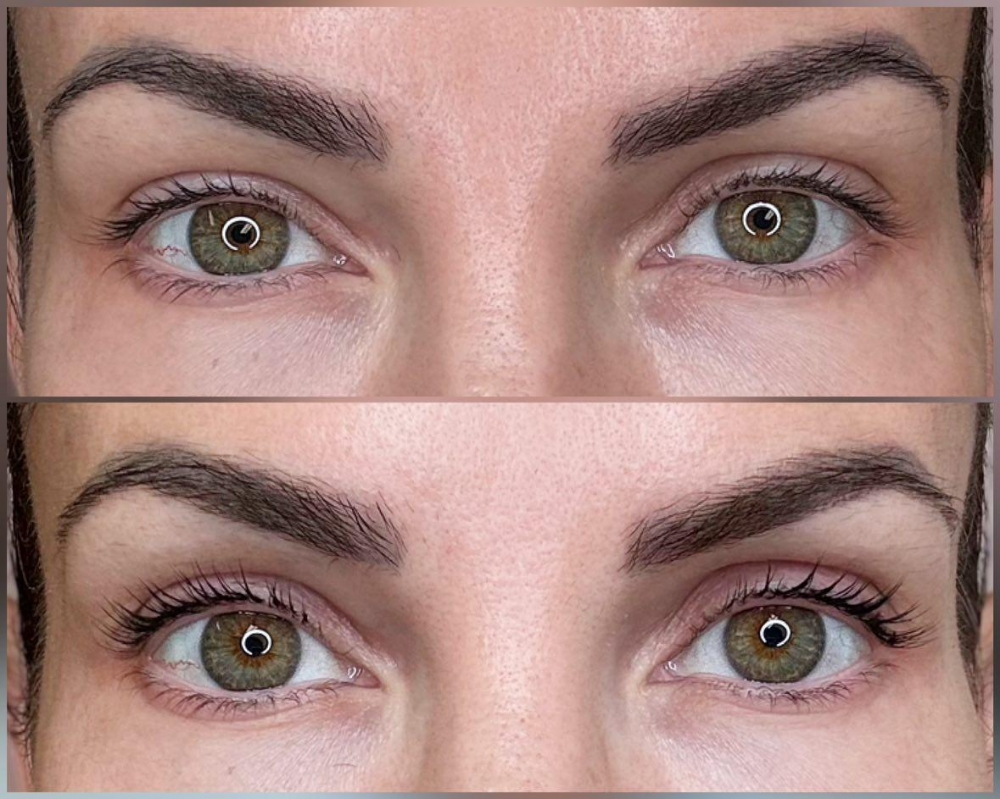 lash lift ( no tint )