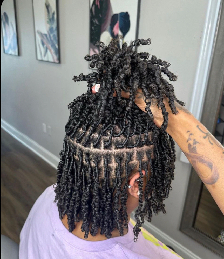 Starter Locs