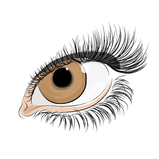 Lash Lift & Tint