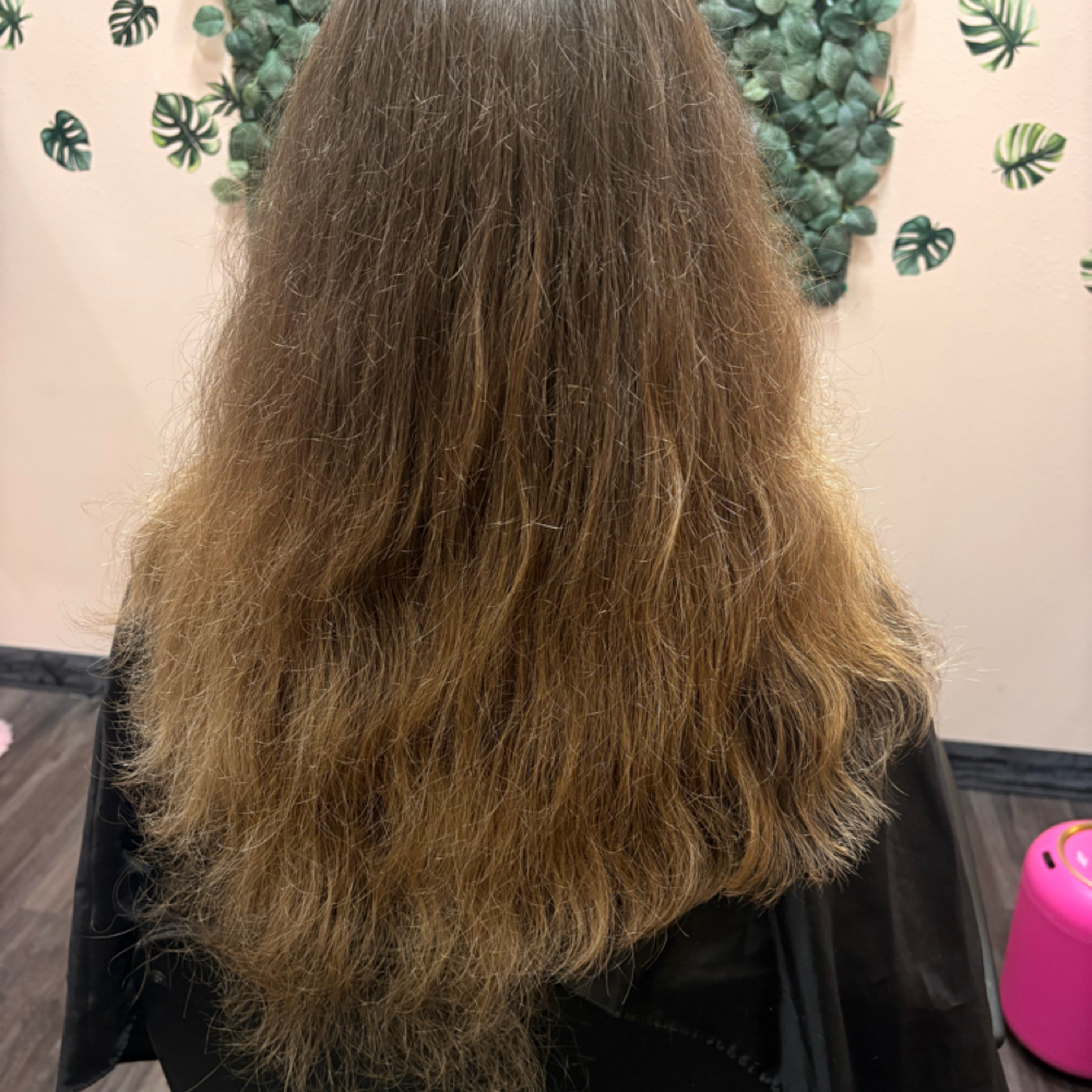 ✂️ Trim Cut at Irresistible Beauty by Alex in Redmond, WA