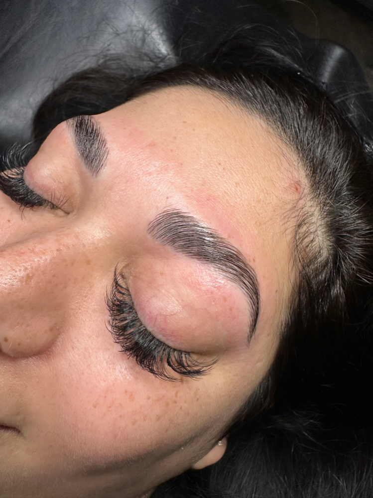 Brow Lami