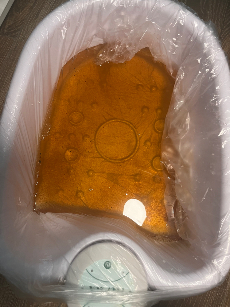 Ion Foot Detox