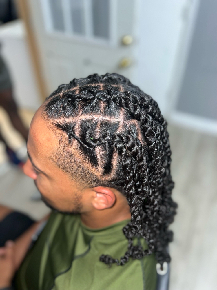 invisible Locs / Two Strand