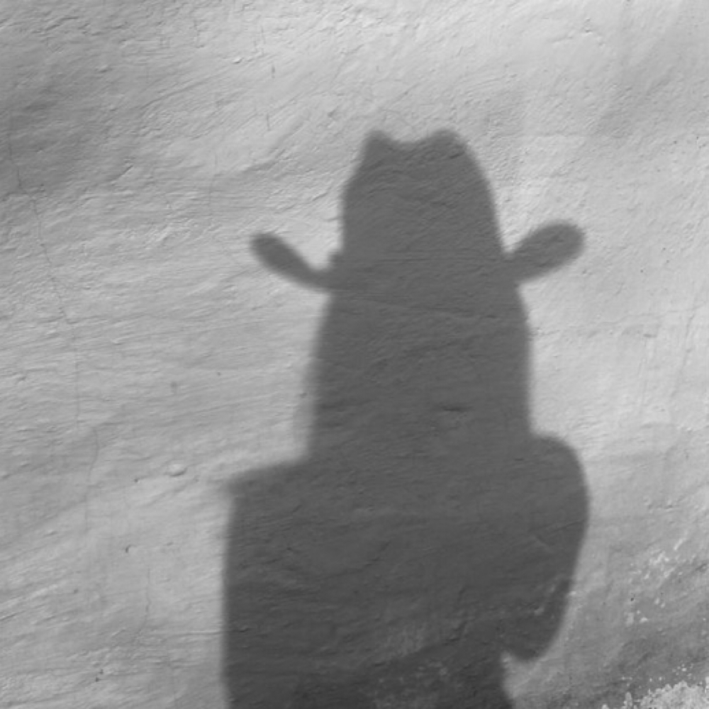 haircut add on at Desert Blonde Suite in Chandler, AZ