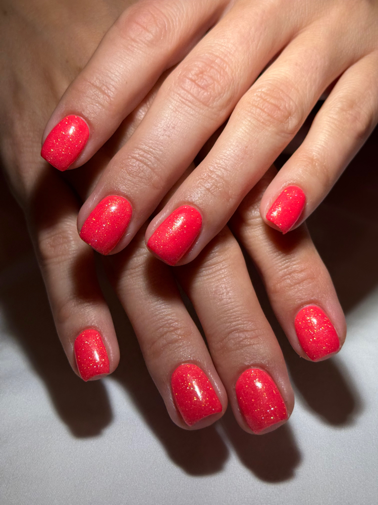 Fill- Solid Color