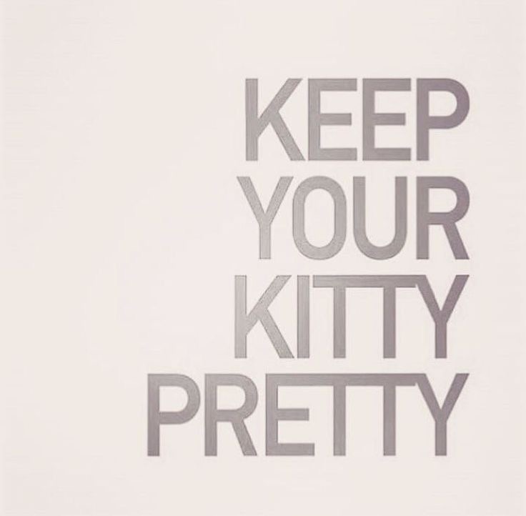 Pretty Kitty