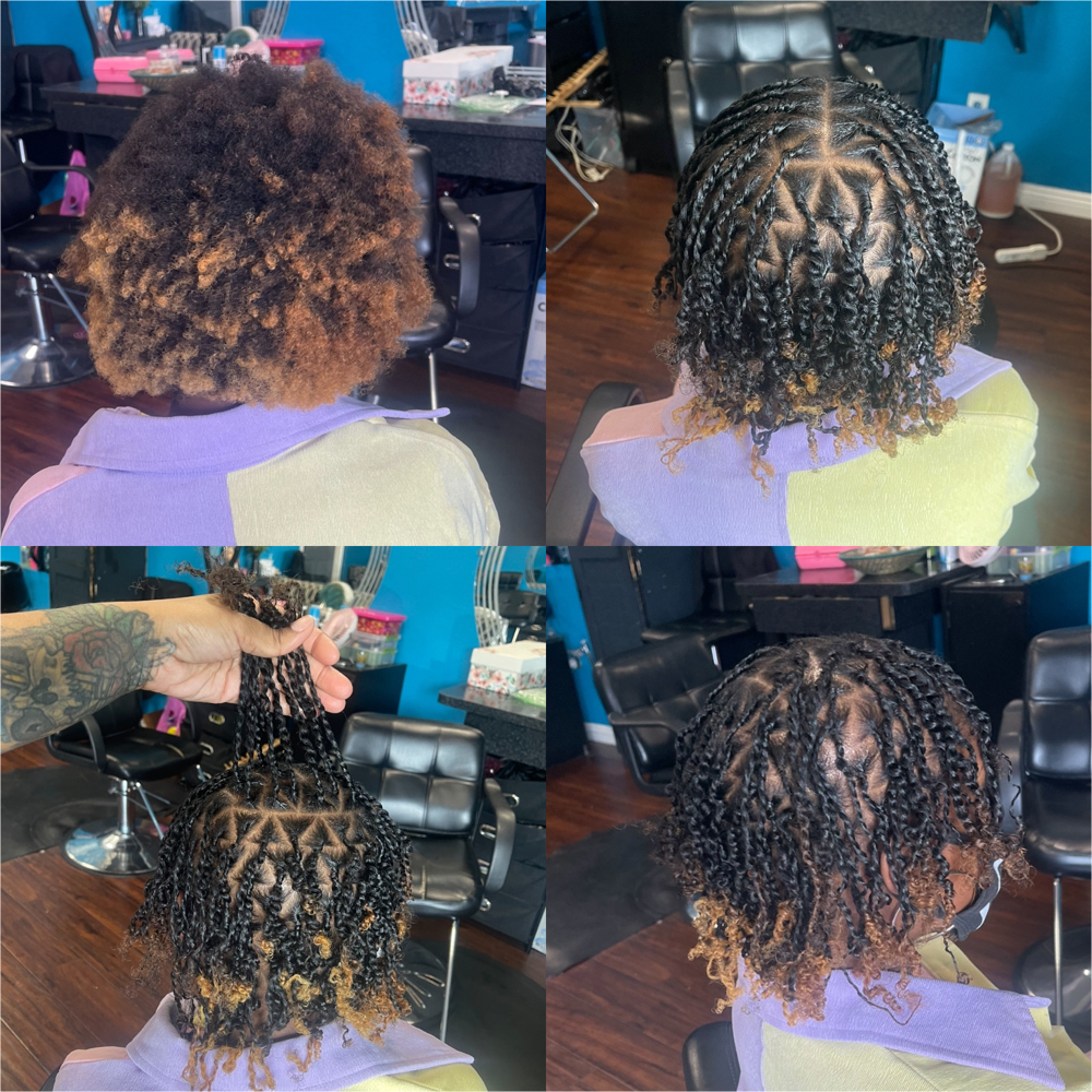 Starter Locs:  SMALL