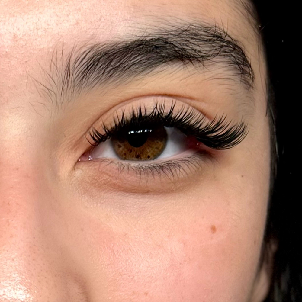Classic Lashes