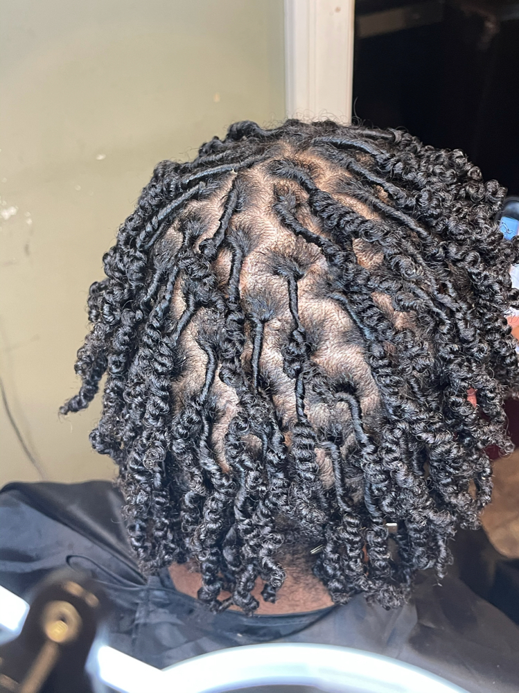 2 Strand Starter Locs