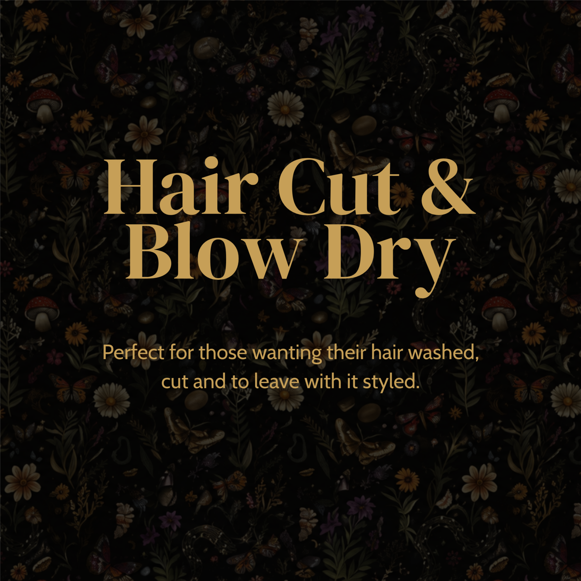 Hair Cut & Blowdry at Meraki Beauty & Barbering in Egg Harbor City, NJ