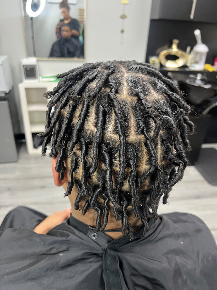 Large Starter Locs