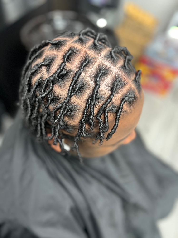 Large Starter Locs