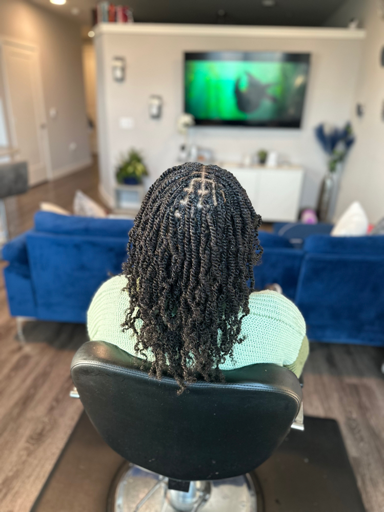 Mini Twist