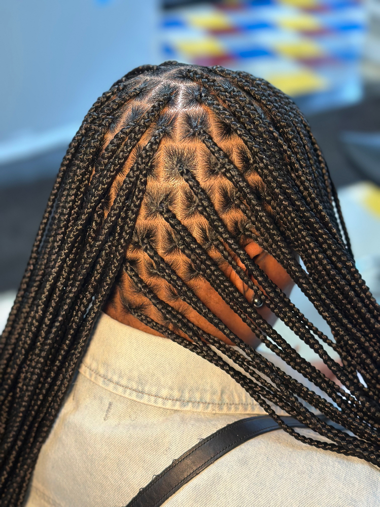 Small Knotless at The royal lab in New York, NY