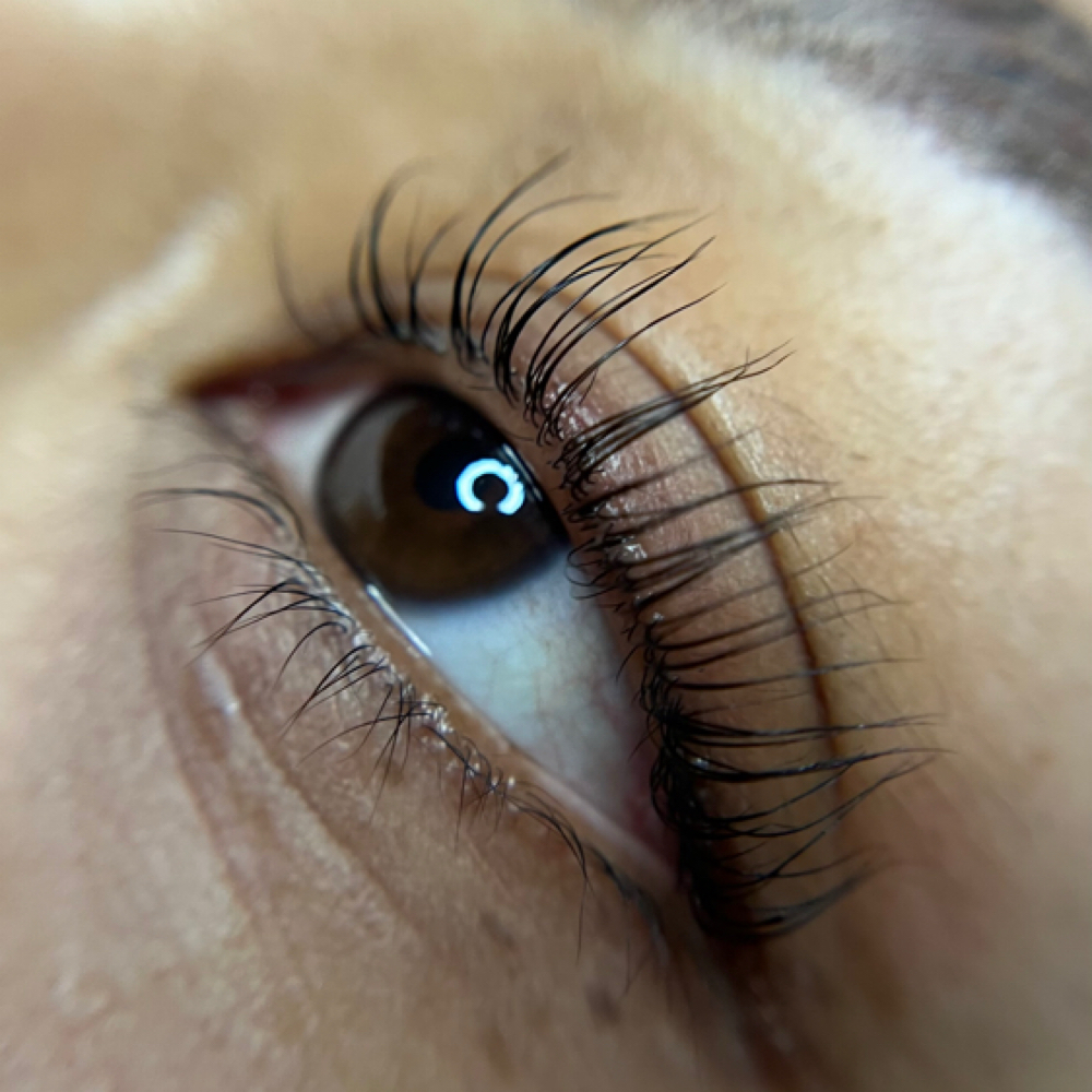 Lash Lift + Tint at My Lucky Brows in Whittier, CA