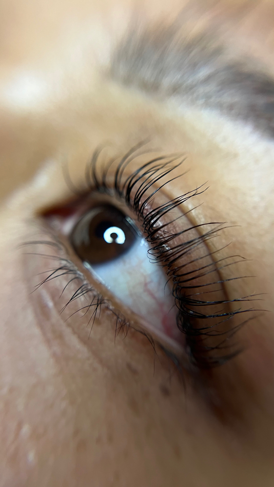 Lash Lift + Tint