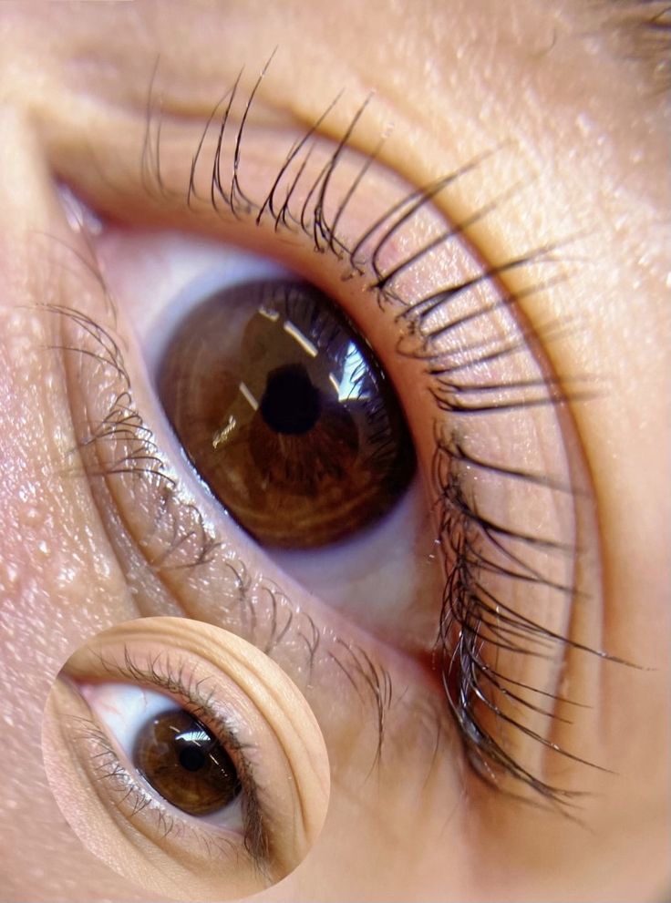 Lash Lift + tint