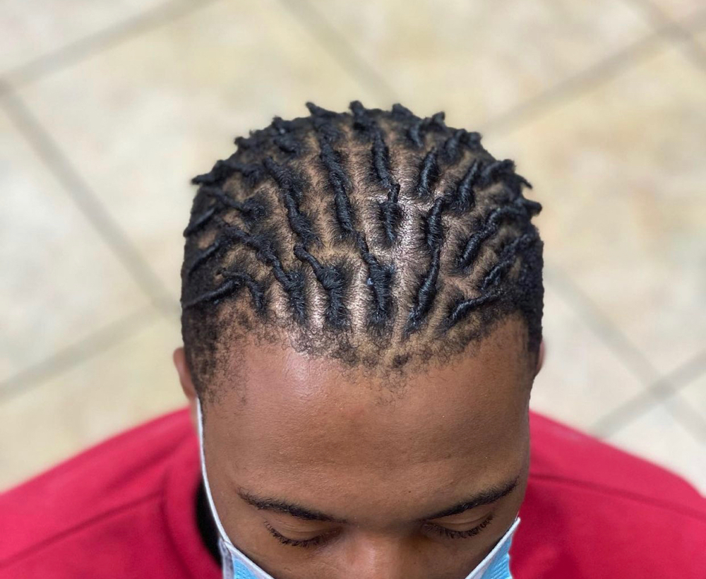 Starter Locs