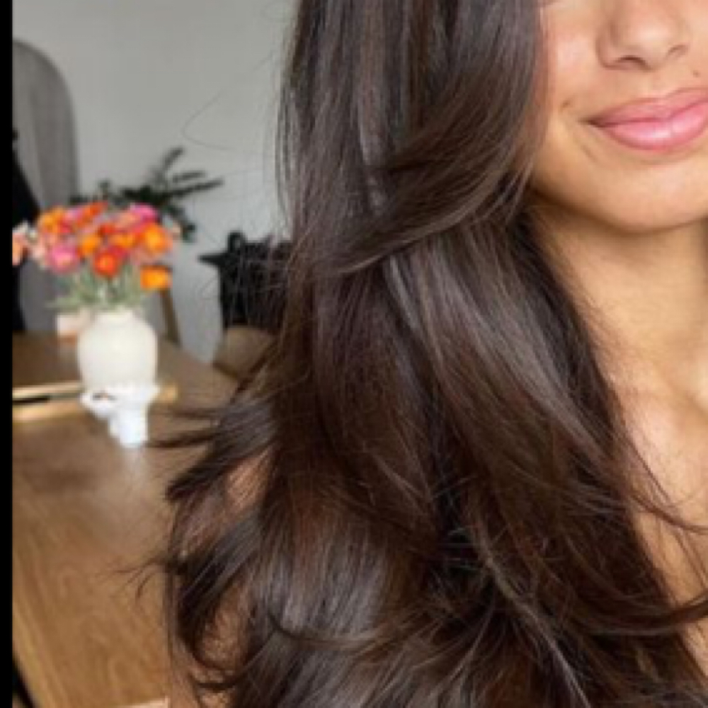 Choclate Bunny Brown at Nicole Allison in Kansas City, MO