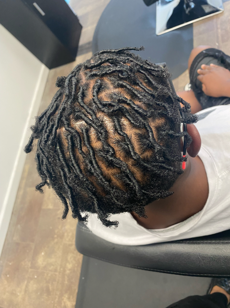 Starter Locs