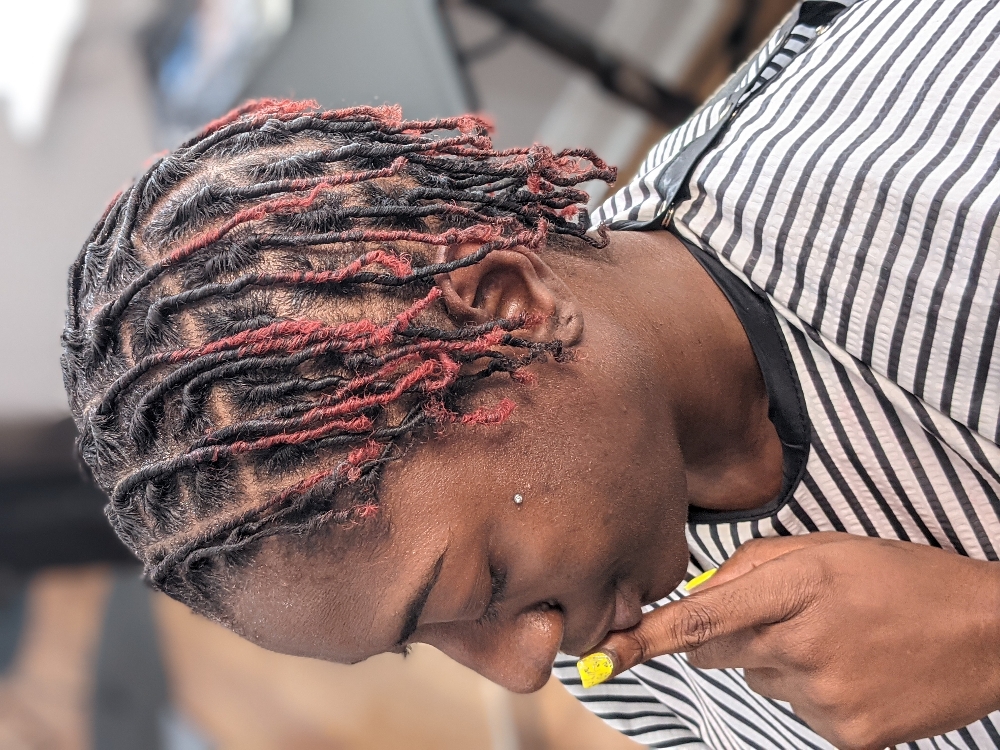 Starter Locs Adult