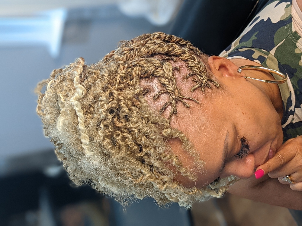 Adult Small Box Braids