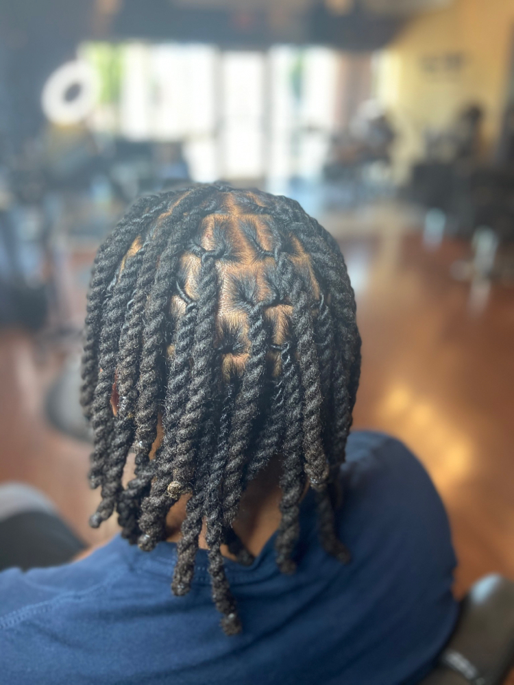 Two Strand Twist/Plaits/Braids