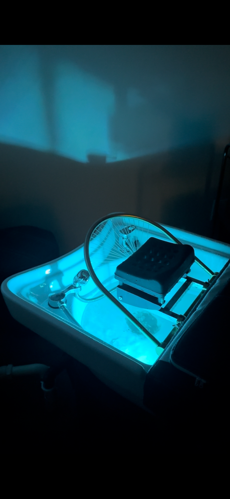 Stress Relief + Relaxation