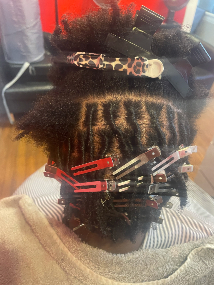 Starter Locs