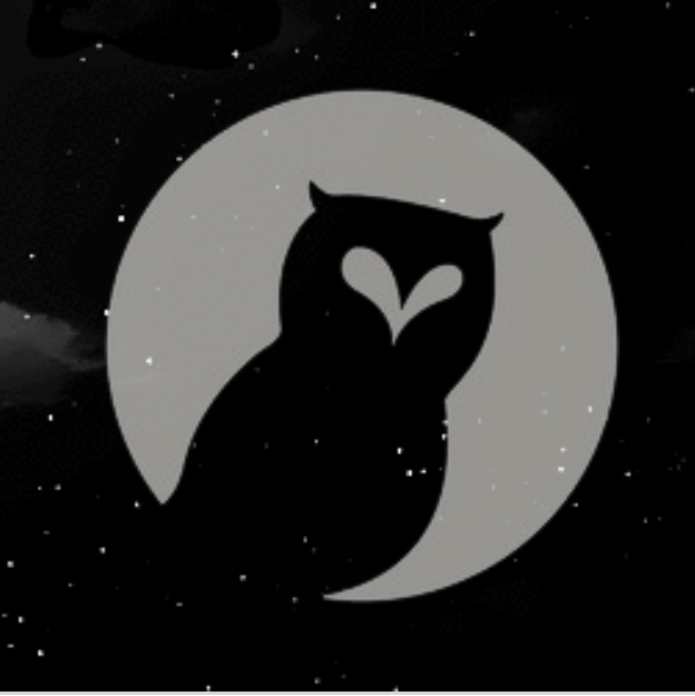 Night Owl