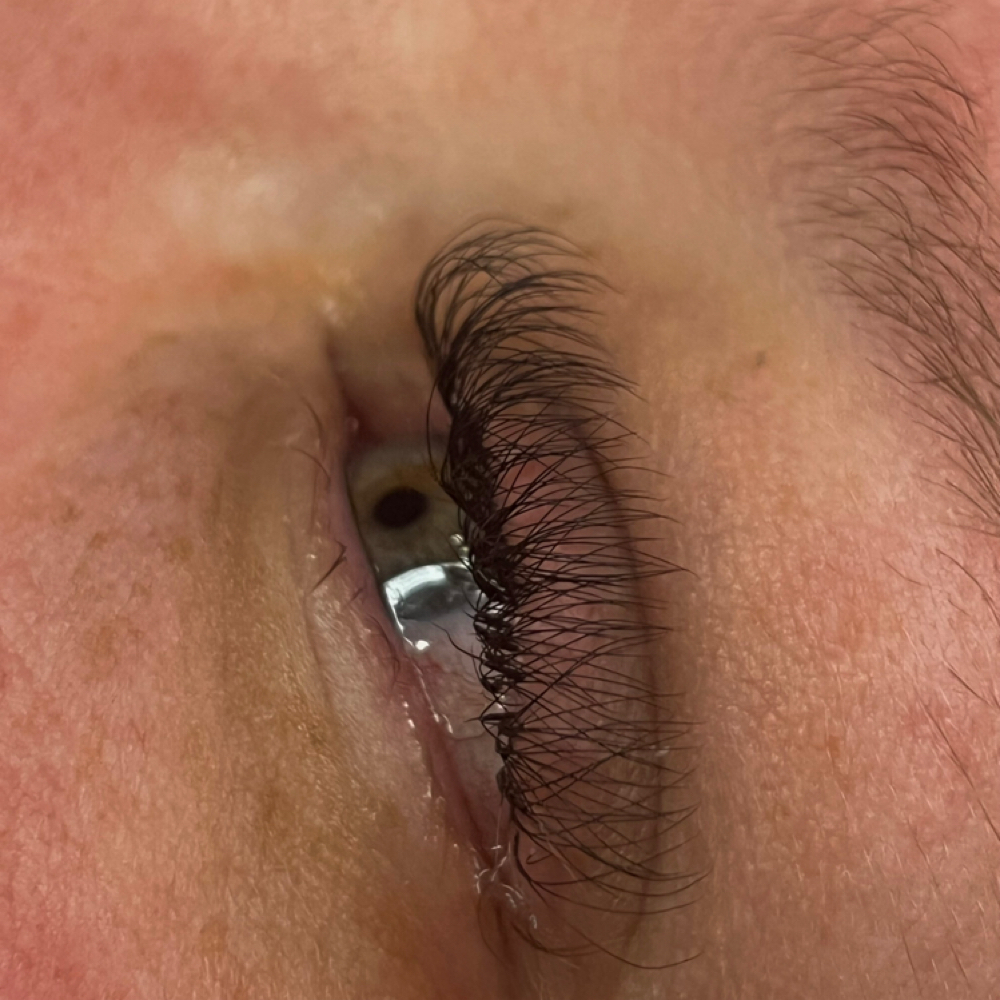 Hybrid Lashes at Lashesbysaletha in Ider, AL