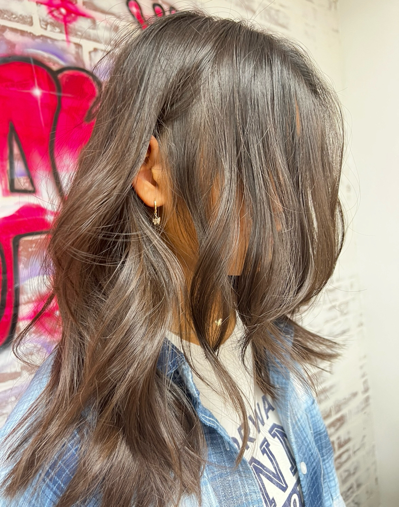 Wash/ Cut/ Style