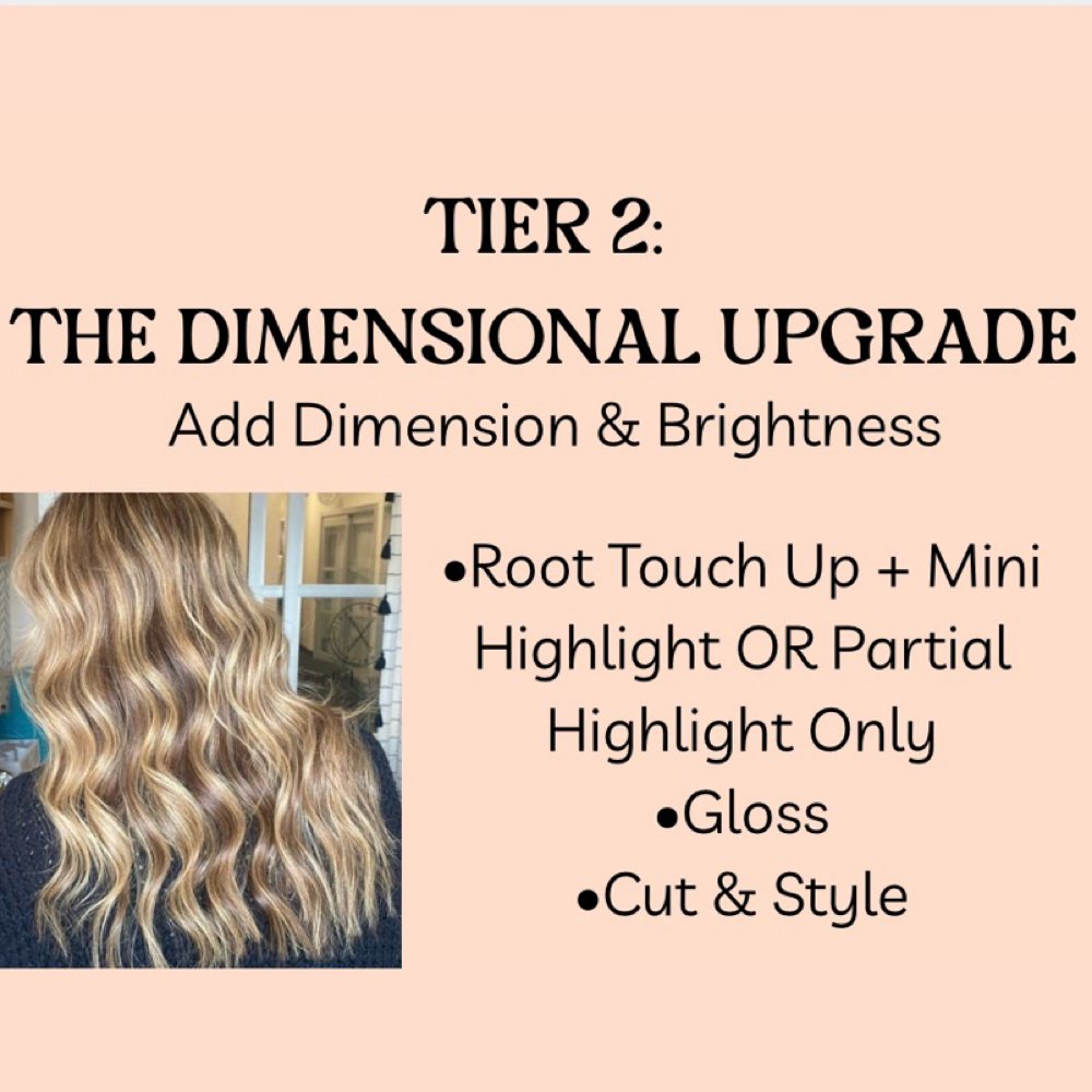 TIER 2 - THE DIMENSIONAL UPGRADE at Pin And Tonic Salon in Fort Mill, SC