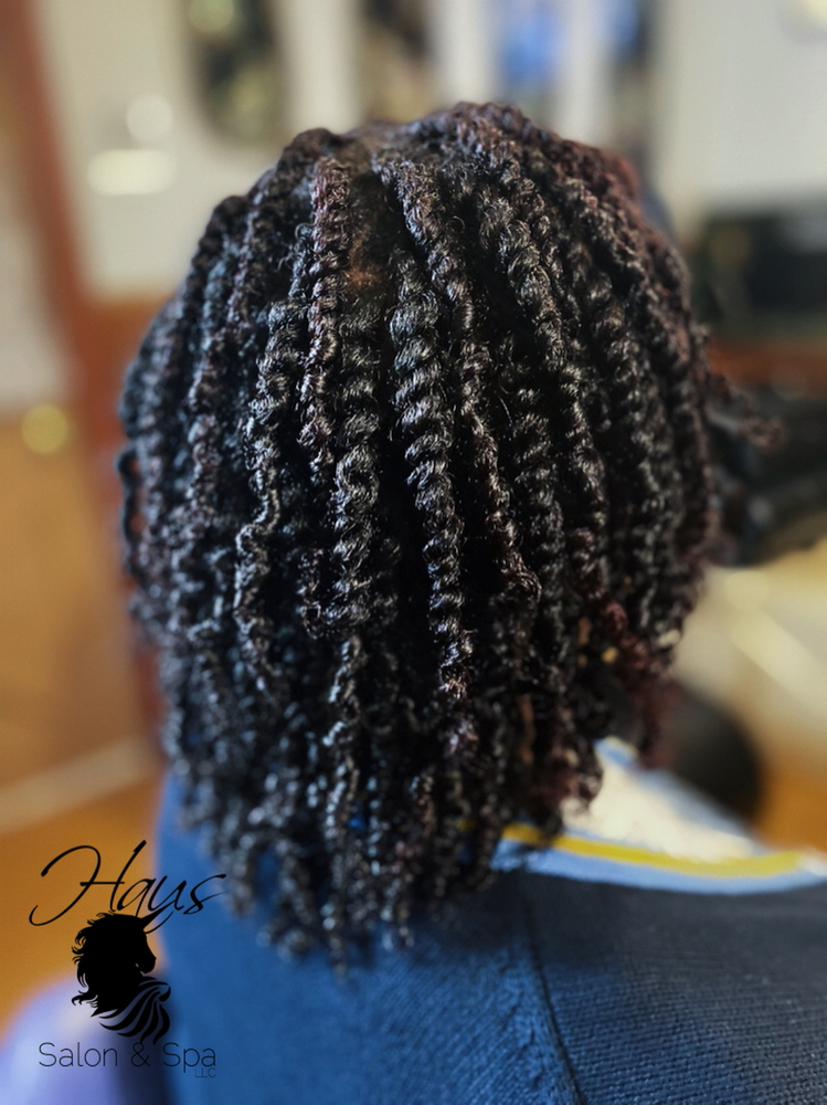 Starter Locs (Two Strand Twists)