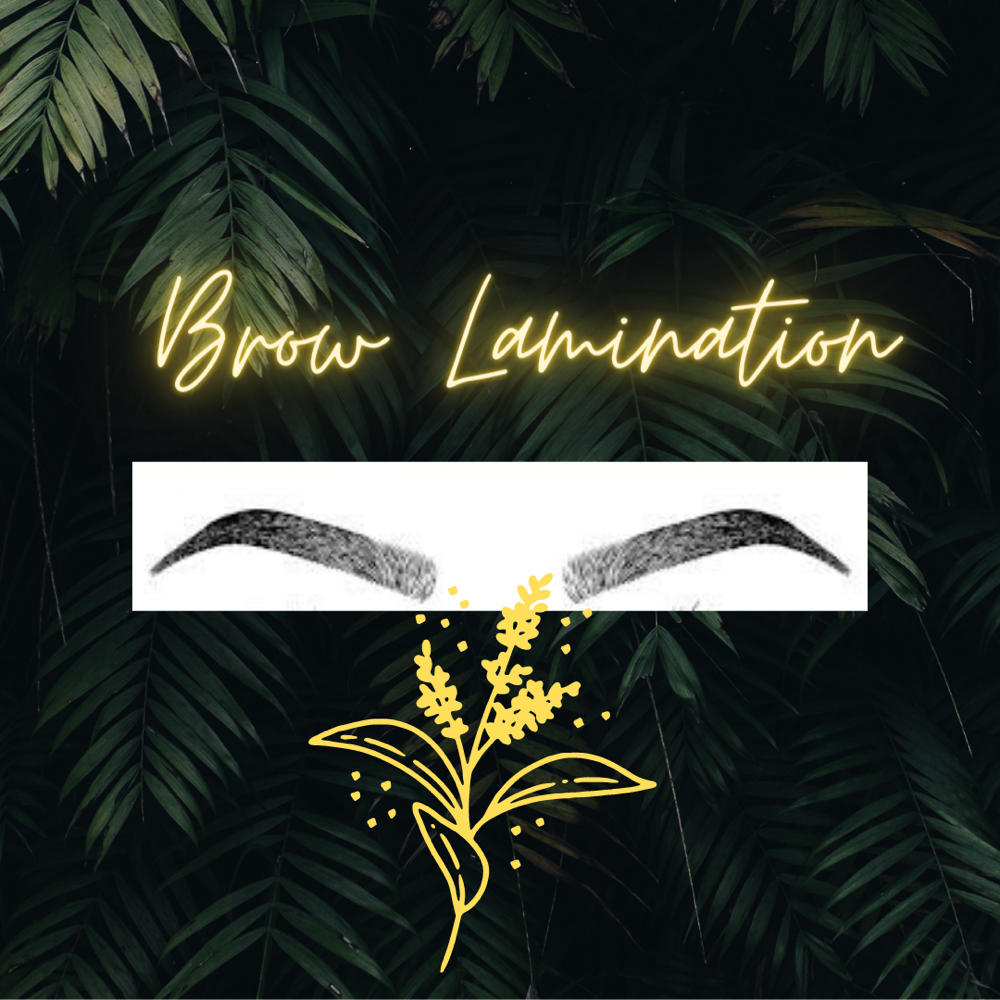 Brow lamination