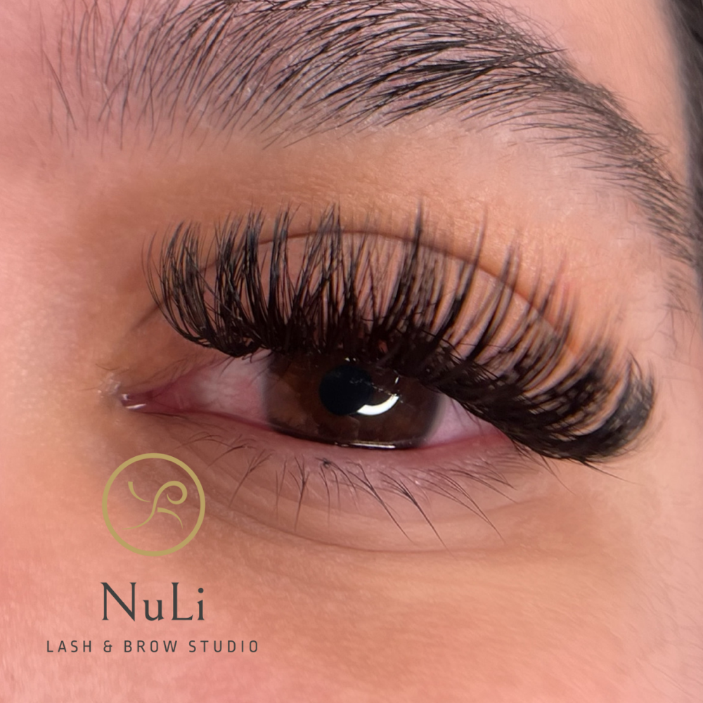 Full Eyelash Set (Volume)