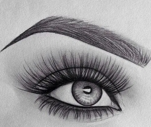 Eyebrow Tint