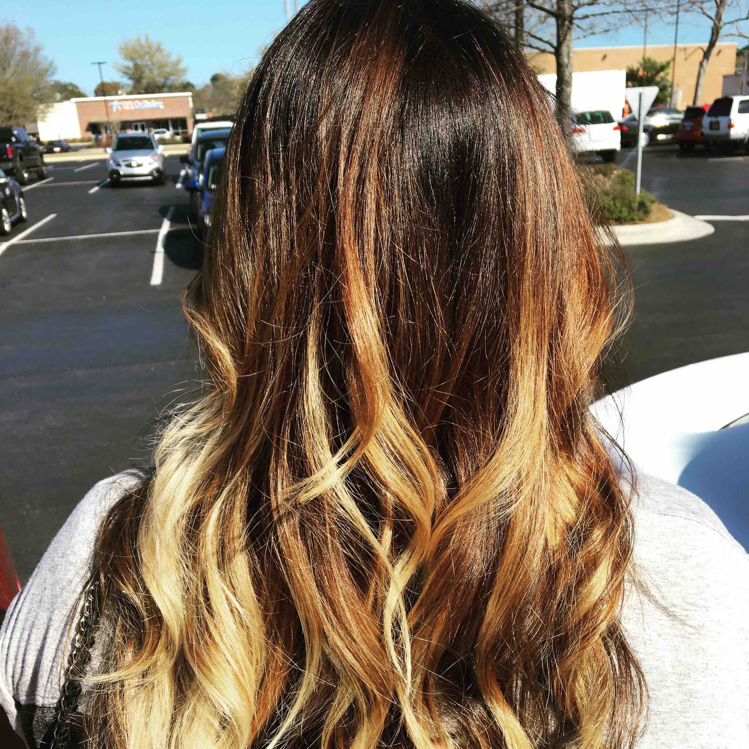 Color- Colormelt or Balayage