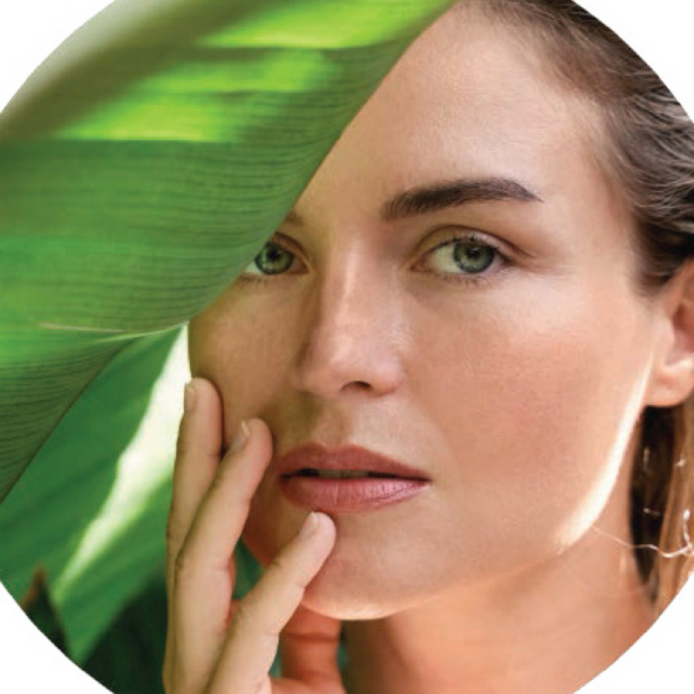 Riman Beauty Planner at Sd Body Vengeance in National City, CA