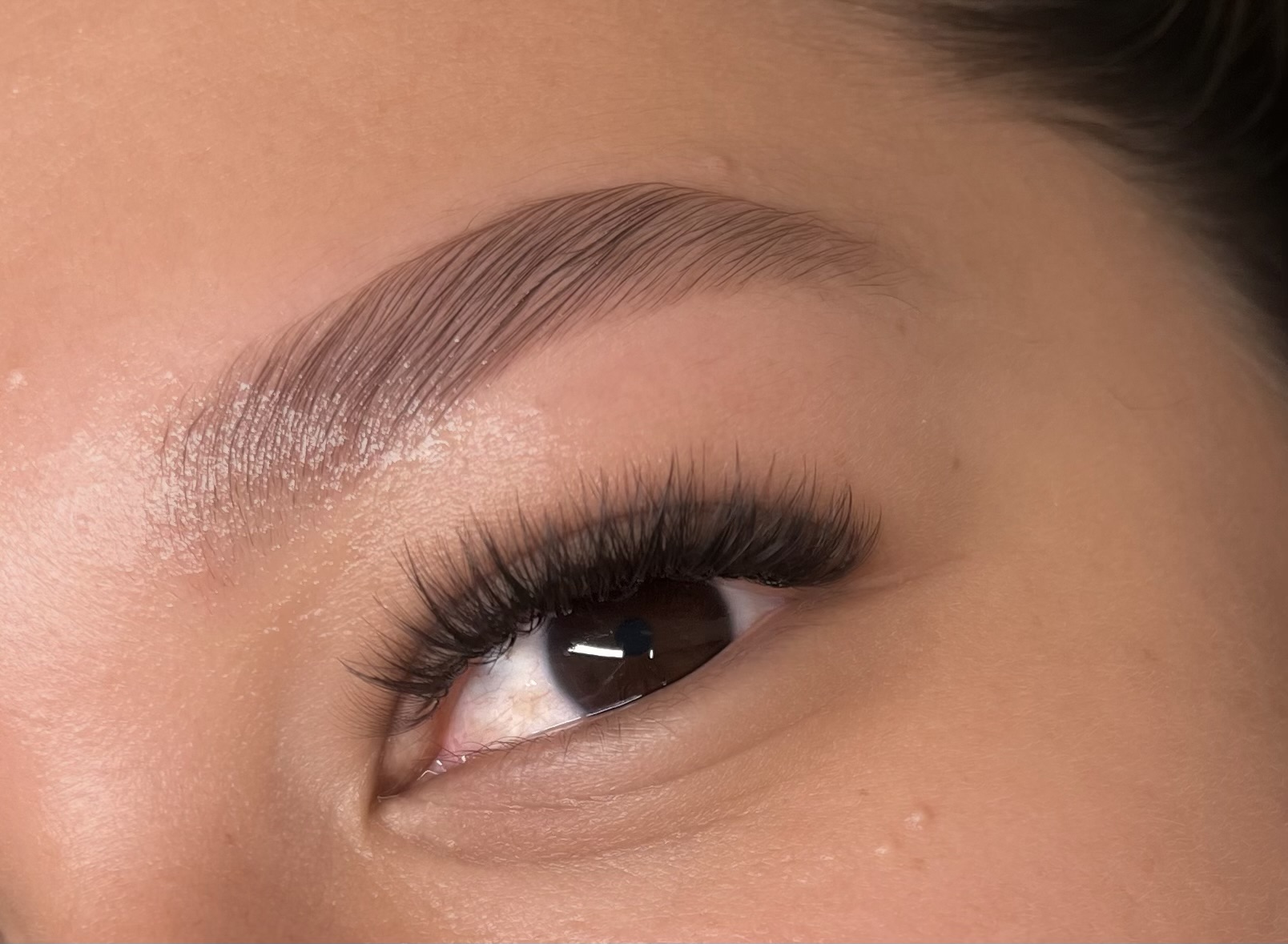 Brow Lamination (no tint)