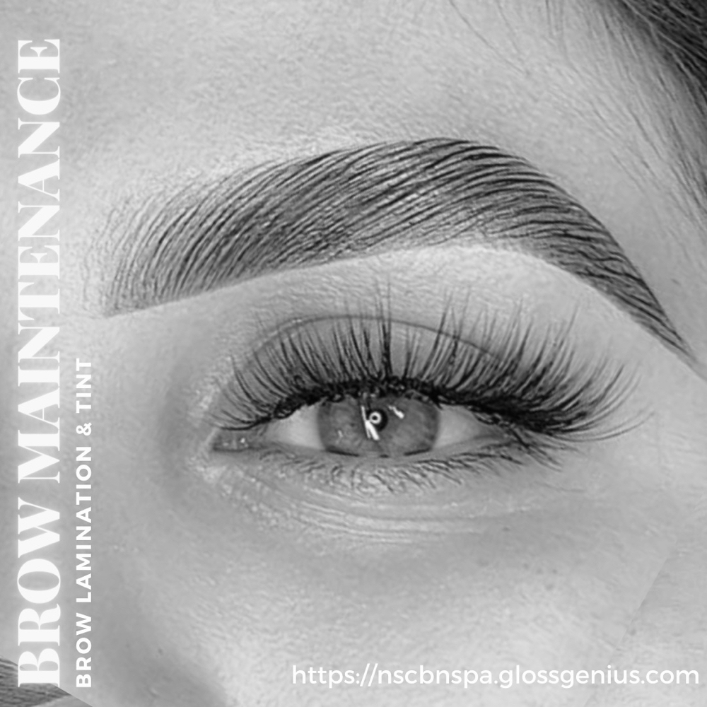 Brow Lamination + Tint