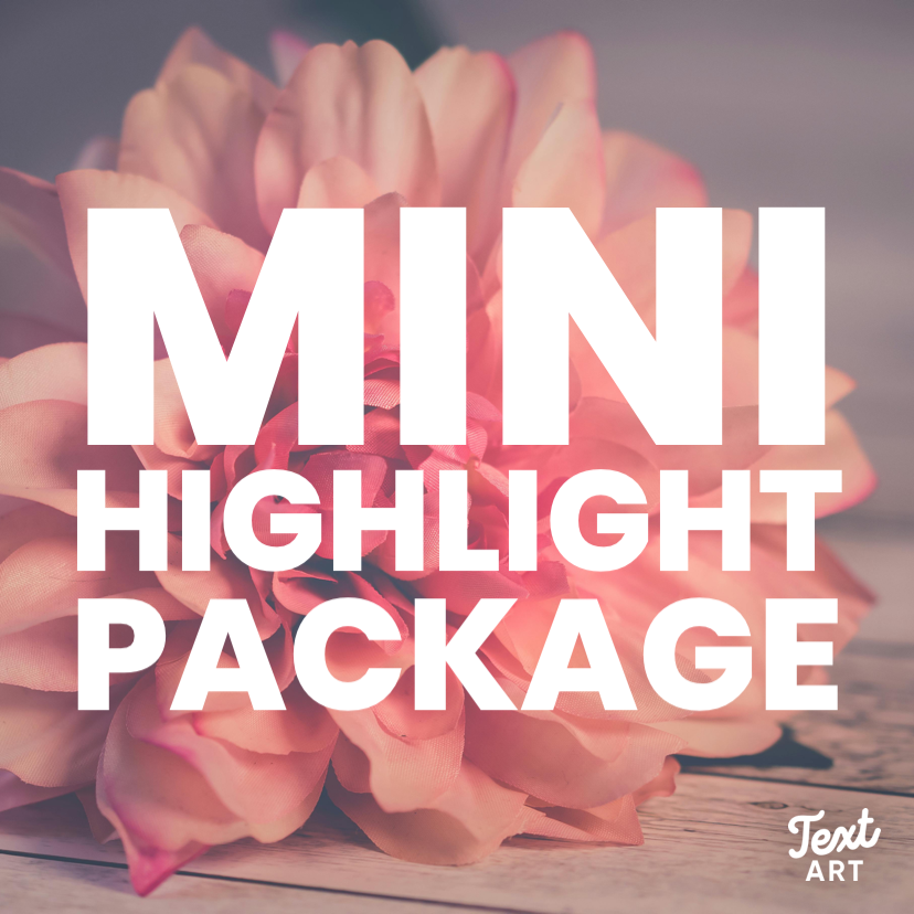 Mini Highlight/Face Framing Package