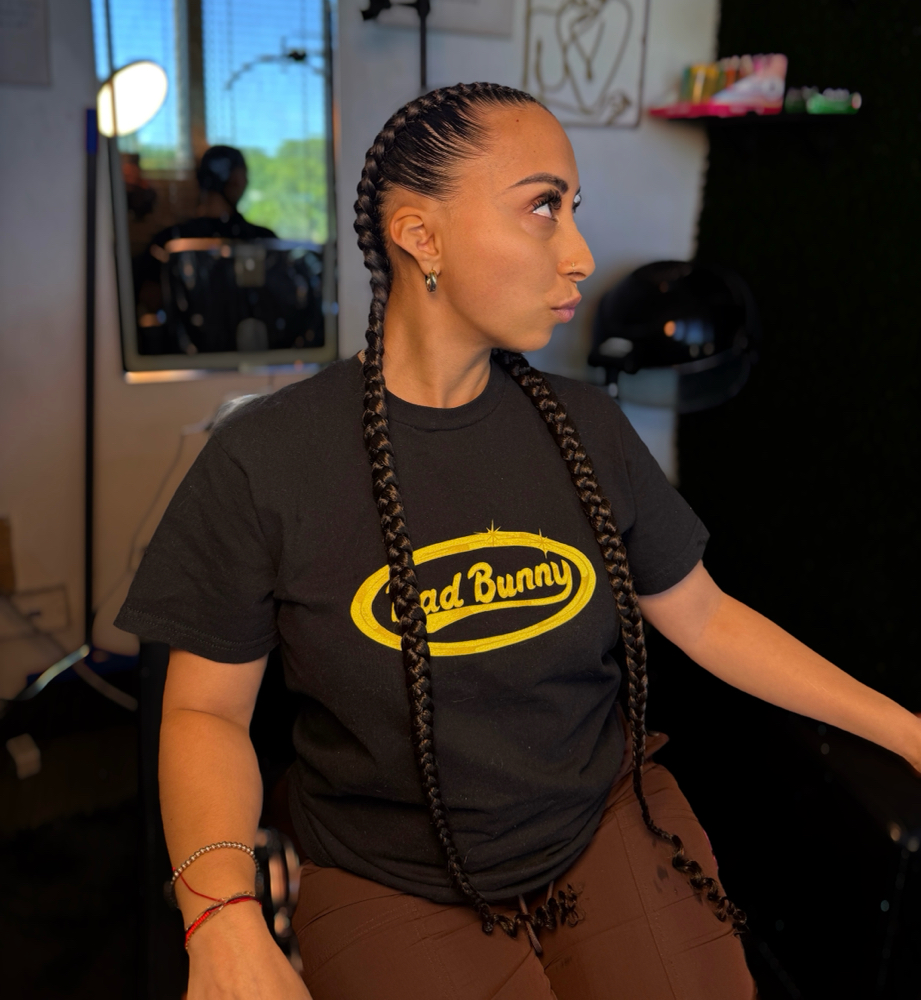 2 Stitch Braids at GetCrownedByAsh in Hollywood, FL