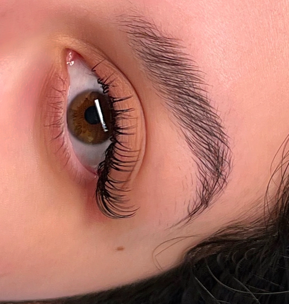 Classic Eyelashes