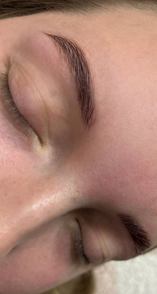 Brow Lamination / Tint + Wax