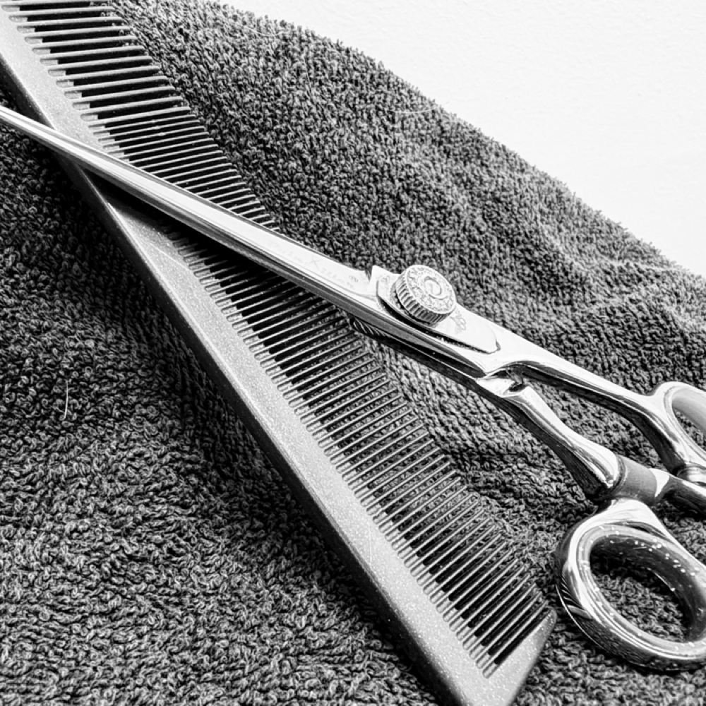 Bang trim at Jill’s Hair Studio in Magnolia, TX